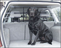BICE WalkyGuard 'universal dog guard'  at The Roof Box Company